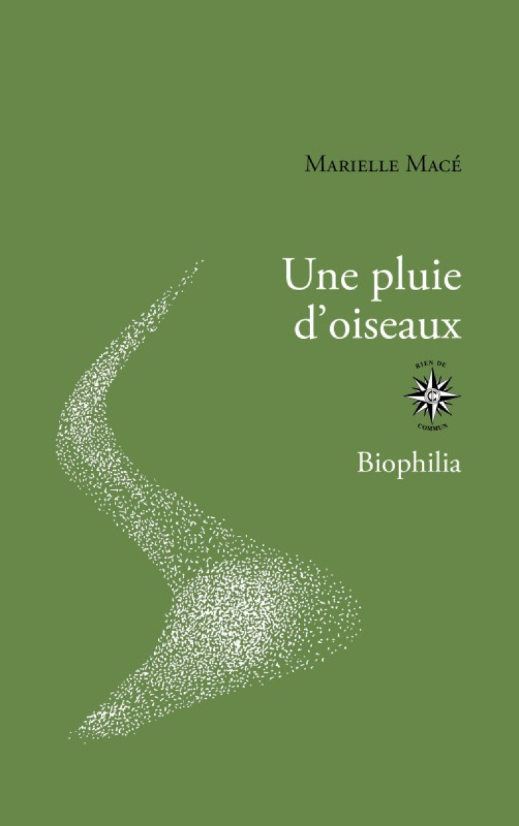 UNE PLUIE D'OISEAUX - ILLUSTRATIONS, NOIR ET BLANC - MACE MARIELLE - CORTI