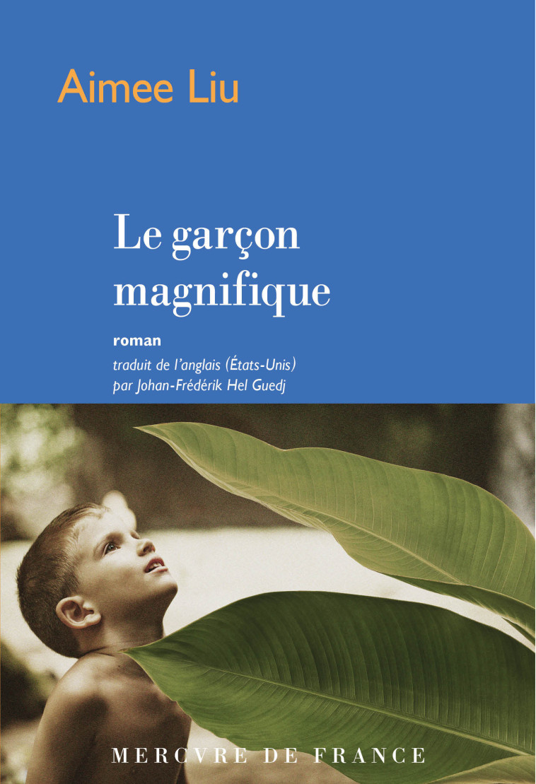 LE GARCON MAGNIFIQUE - LIU AIMEE - MERCURE DE FRAN