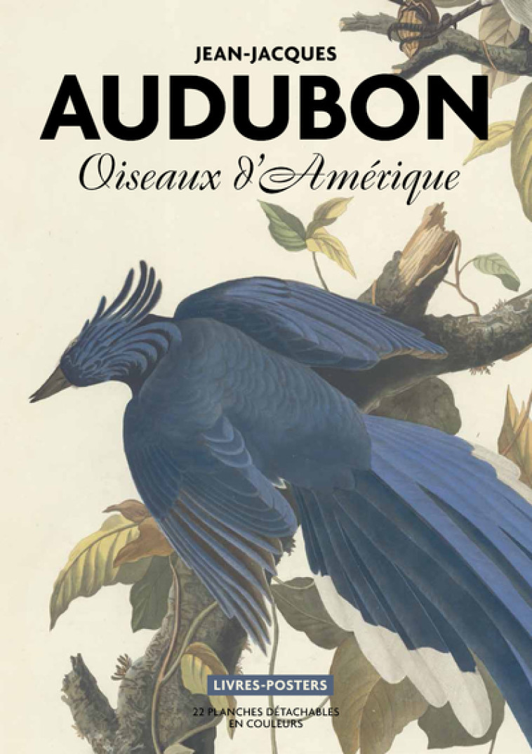 AUDUBON. OISEAUX D'AMERIQUE - LE BITOUZE CORINNE - BNF