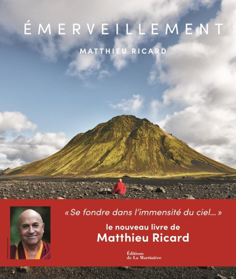 EMERVEILLEMENT - RICARD MATTHIEU - MARTINIERE BL