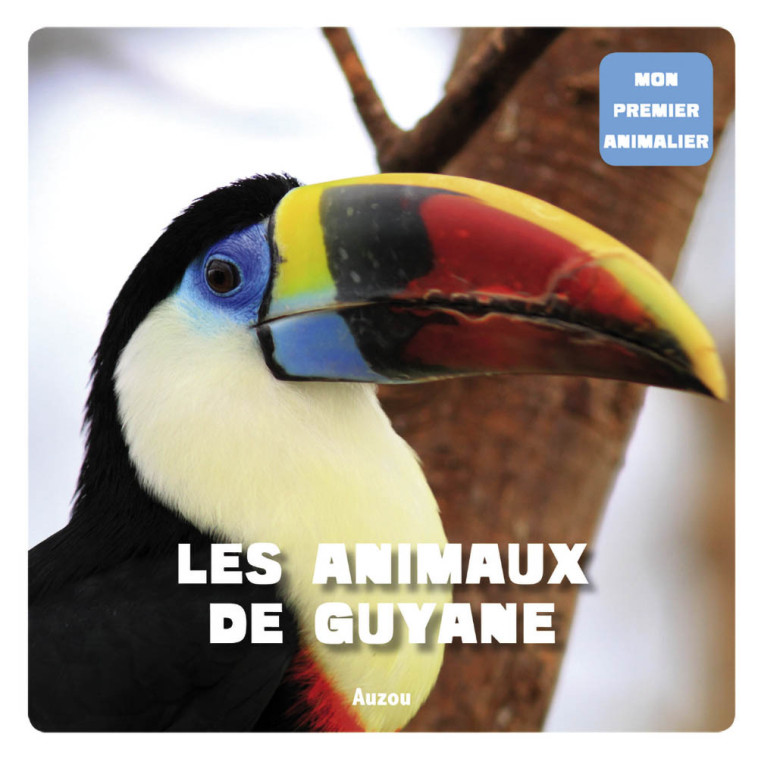 LES ANIMAUX DE GUYANE - DAVID PATRICK - AUZOU