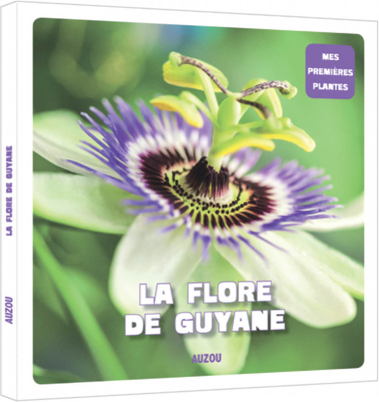 LA FLORE DE GUYANE - DESIRE/PAYET - AUZOU