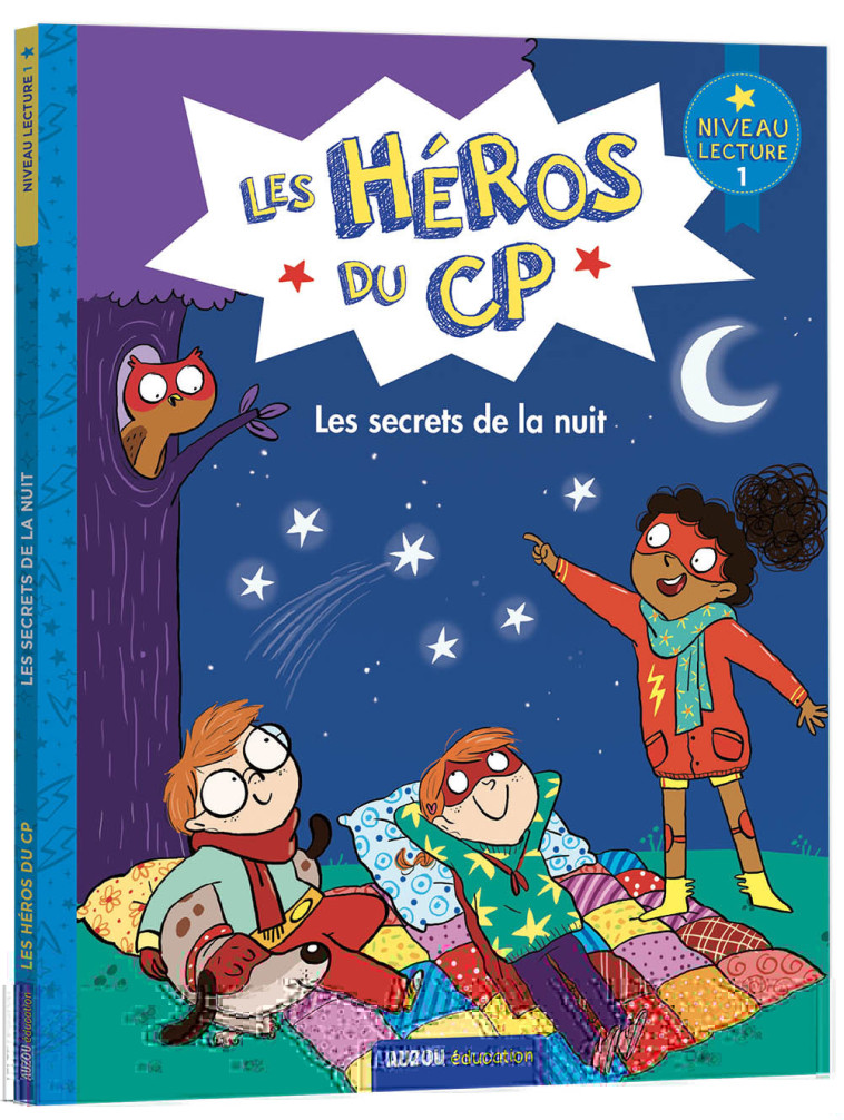 LES HEROS DU CP LES SECRETS DE LA NUIT NIVEAU 1 - MARTINS/DREIDEMY - AUZOU