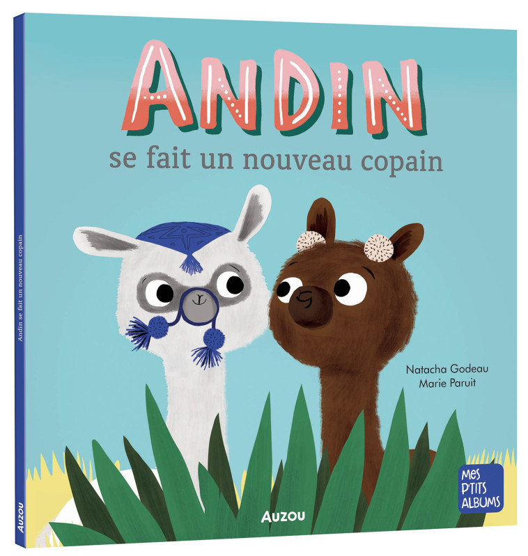 ANDIN SE FAIT UN NOUVEAU COPAIN (NE) - GODEAU/PARUIT - AUZOU