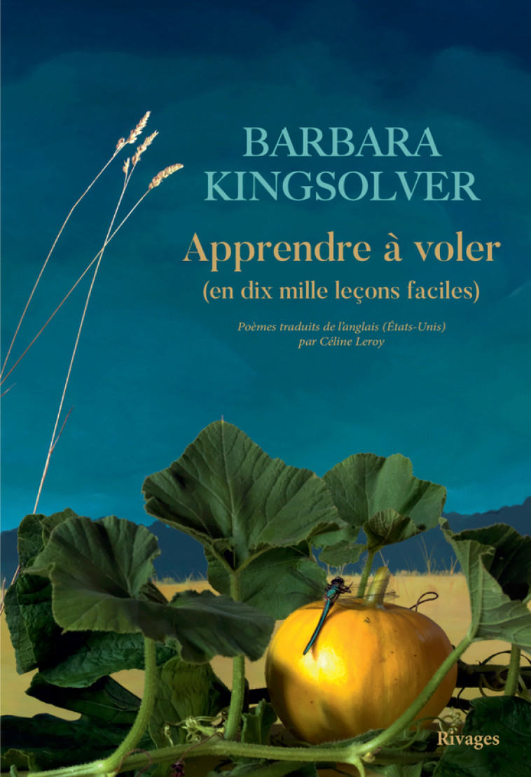 APPRENDRE A VOLER - (EN 10000 LECONS FACILES) - KINGSOLVER BARBARA - RIVAGES