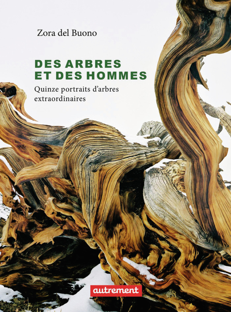 DES ARBRES ET DES HOMMES - DEL BUONO ZORA - AUTREMENT