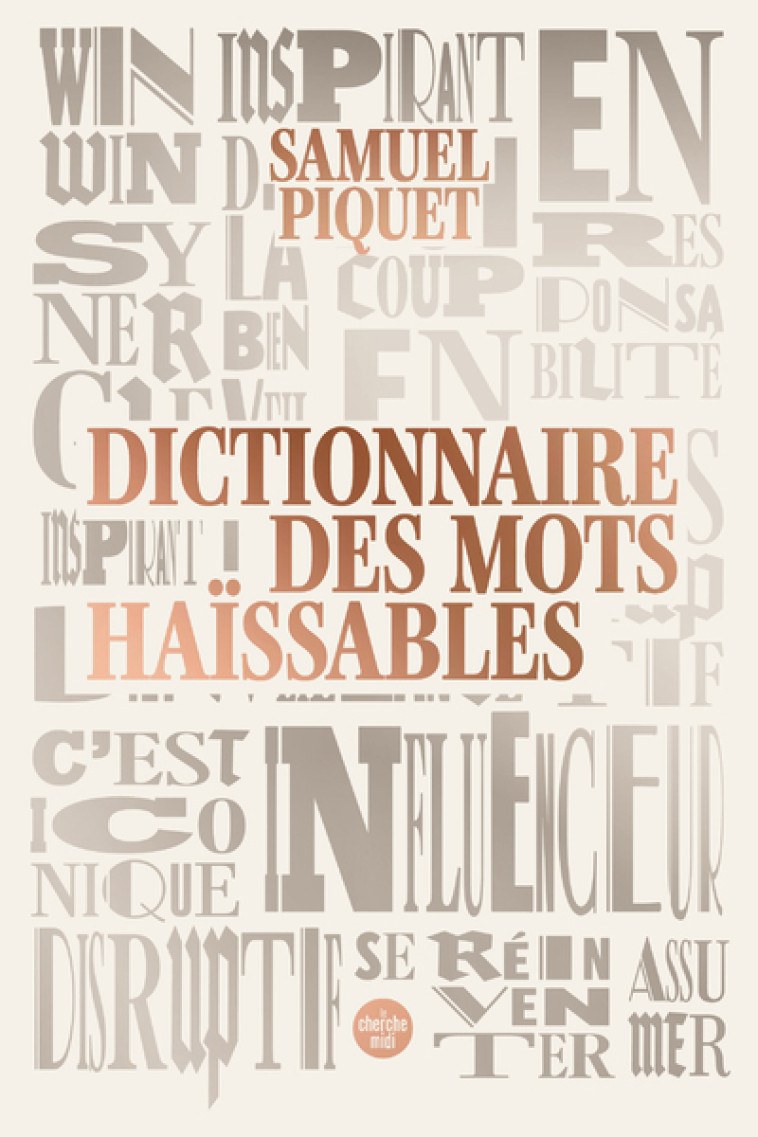 DICTIONNAIRE DES MOTS HAISSABLES - PIQUET SAMUEL - CHERCHE MIDI