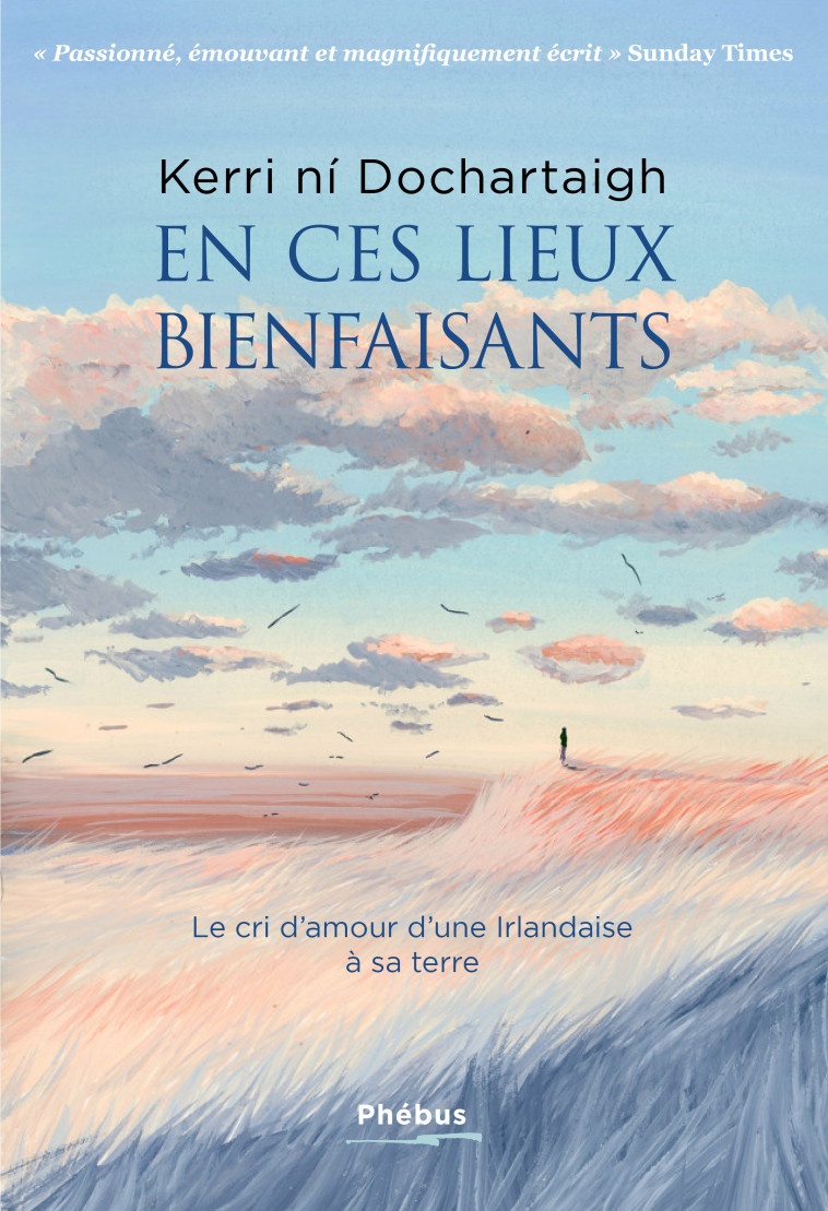 EN CES LIEUX BIENFAISANTS - LE CRI D AMOUR D UNE IRLANDAISE A SA TERRE - DOCHARTAIGH KERRI NI - PHEBUS