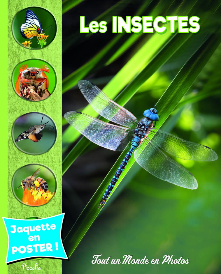 LES INSECTES - MONDE EN PHOTOS - COLLECTIF - PICCOLIA