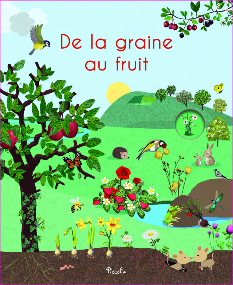 DE LA GRAINE AU FRUIT - CLAUDE - PICCOLIA