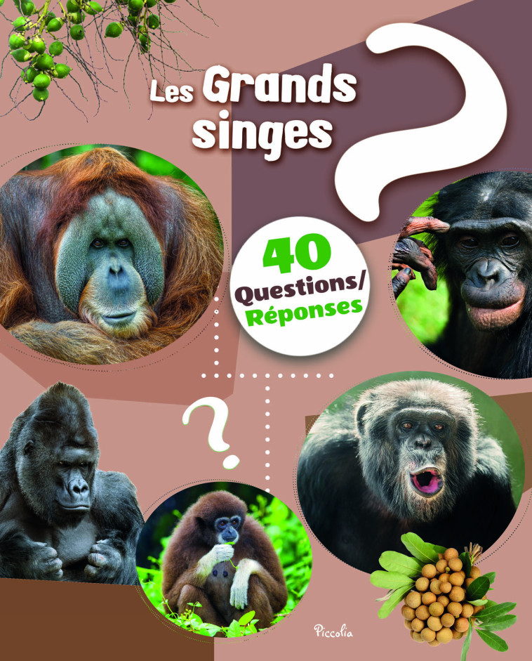 LES GRANDS SINGES - BAILLET CHRISTINE - PICCOLIA