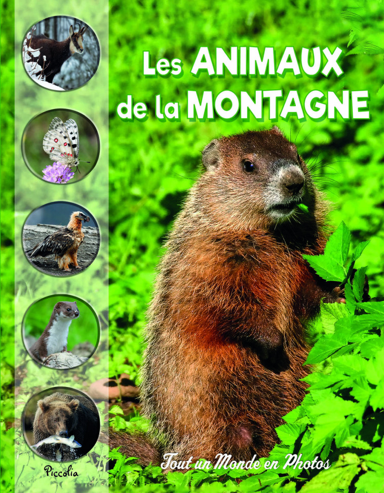 LES ANIMAUX DE MONTAGNE - COLLECTIF - PICCOLIA