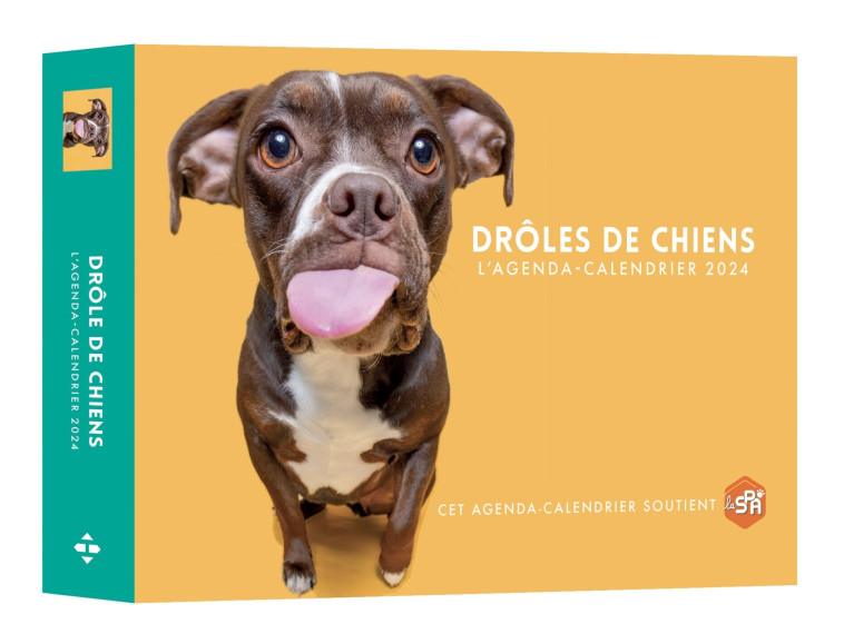 AGENDA CALENDRIER DROLES DE CHIENS - COLLECTIF - HUGO IMAGE