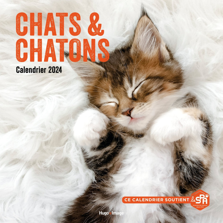 CALENDRIER MURAL CHATS ET CHATONS 2024 - COLLECTIF - HUGO IMAGE