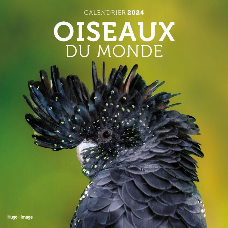 CALENDRIER MURAL OISEAUX DU MONDE 2024 - COLLECTIF - HUGO IMAGE