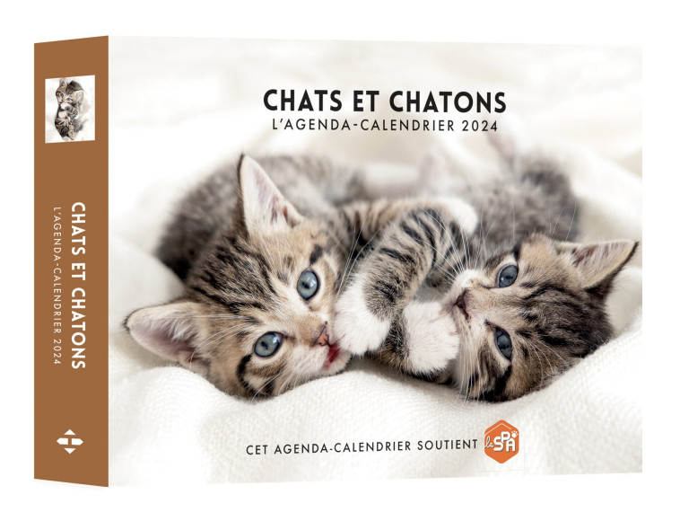 AGENDA CALENDRIER CHATS ET CHATONS - ACO - HUGO IMAGE