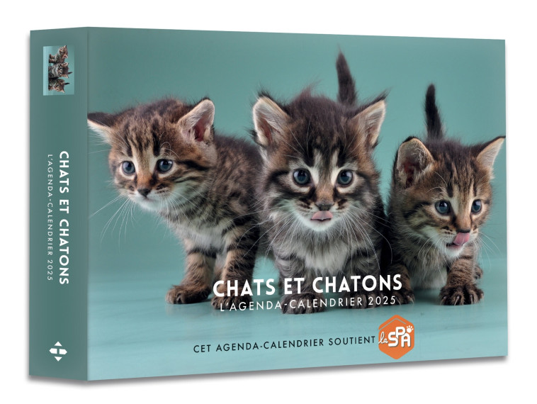 AGENDA - CALENDRIER CHATS ET CHATONS 2025 - COLLECTIF - HUGO IMAGE