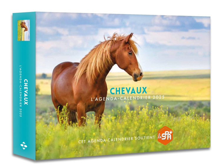 AGENDA - CALENDRIER CHEVAUX 2025 - COLLECTIF - HUGO IMAGE