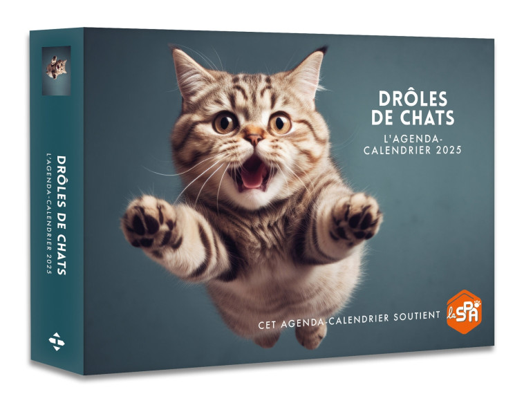 AGENDA - CALENDRIER DROLES DE CHATS 2025 - COLLECTIF - HUGO IMAGE