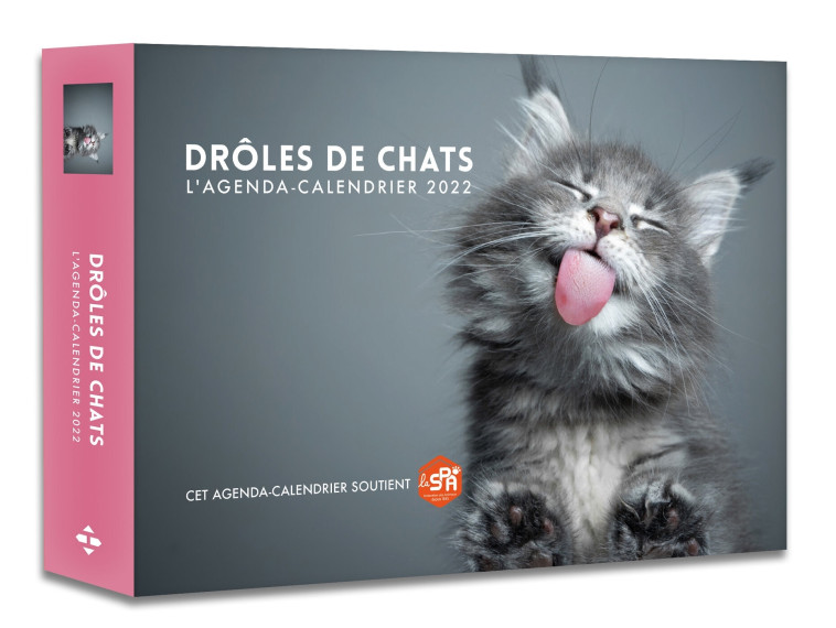 L'AGENDA - CALENDRIER DROLES DE CHATS 2022 - COLLECTIF - HUGO IMAGE