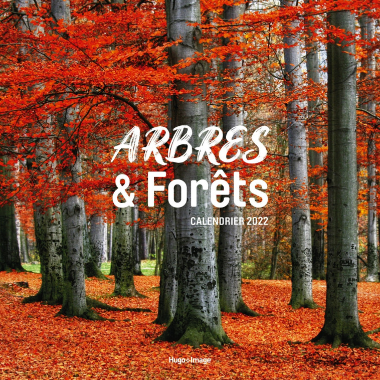 CALENDRIER MURAL ARBRES ET FORETS 2022 - COLLECTIF - HUGO IMAGE