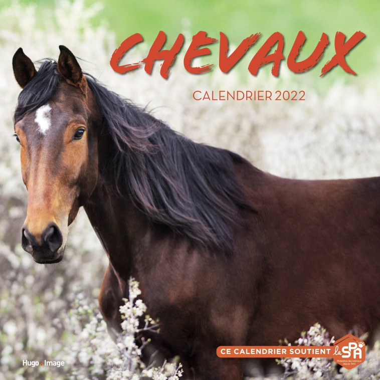 CALENDRIER MURAL CHEVAUX 2022 - COLLECTIF - HUGO IMAGE