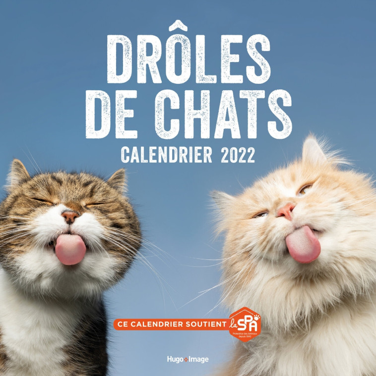 CALENDRIER MURAL DROLES DE CHAT 2022 - COLLECTIF - HUGO IMAGE