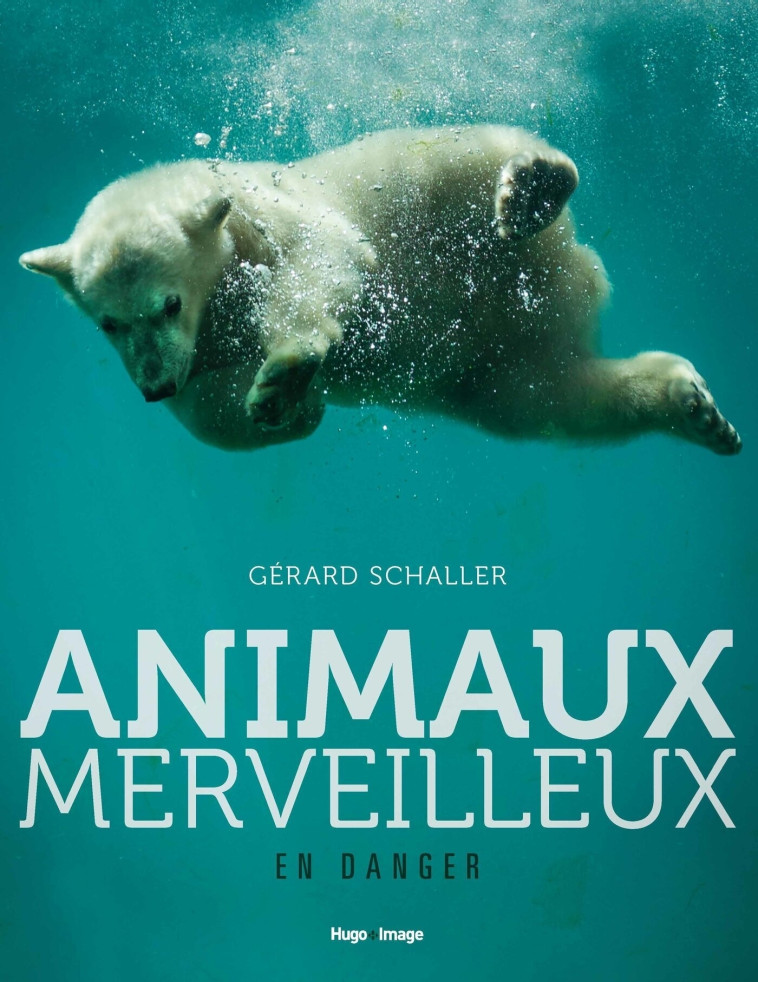 ANIMAUX MERVEILLEUX EN DANGER - SCHALLER GERARD - HUGO IMAGE