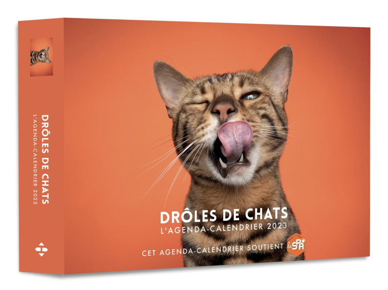 AGENDA - CALENDRIER DROLES DE CHATS 2023 - COLLECTIF - HUGO IMAGE