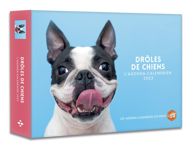 AGENDA - CALENDRIER DROLES DE CHIENS 2023 - COLLECTIF - HUGO IMAGE