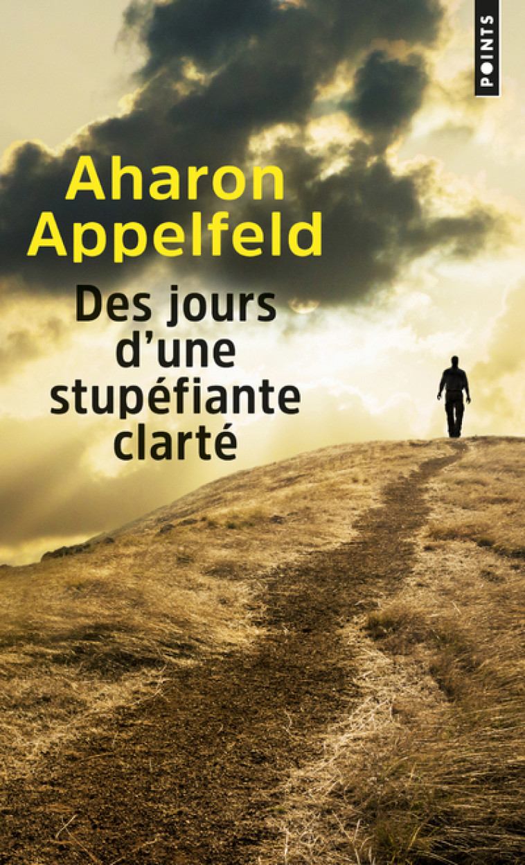 DES JOURS D'UNE STUPEFIANTE CLARTE - APPELFELD AHARON - POINTS