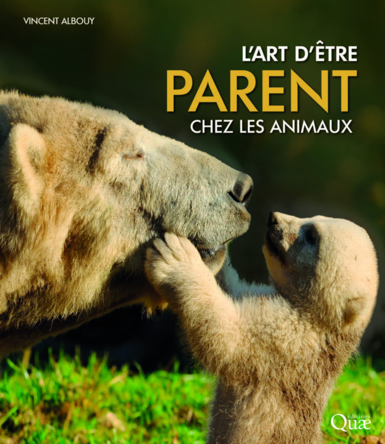 L ART D ETRE PARENT CHEZ LES ANIMAUX - ALBOUY VINCENT - QUAE