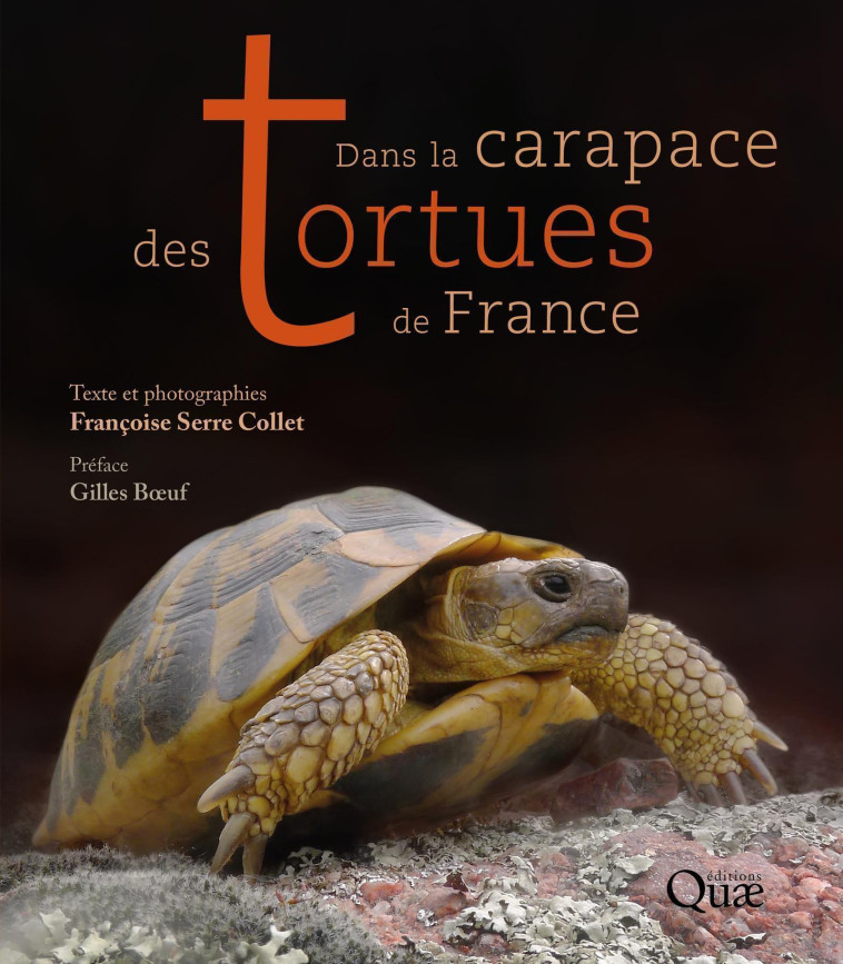 DANS LA CARAPACE DES TORTUES DE FRANCE - PR EFACE GILLES BOEUF - SERRE COLLET F. - QUAE