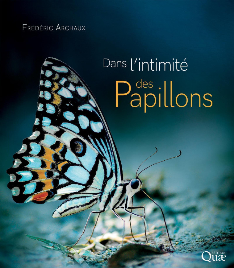 DANS L'INTIMITE DES PAPILLONS - ARCHAUX FREDERIC - QUAE