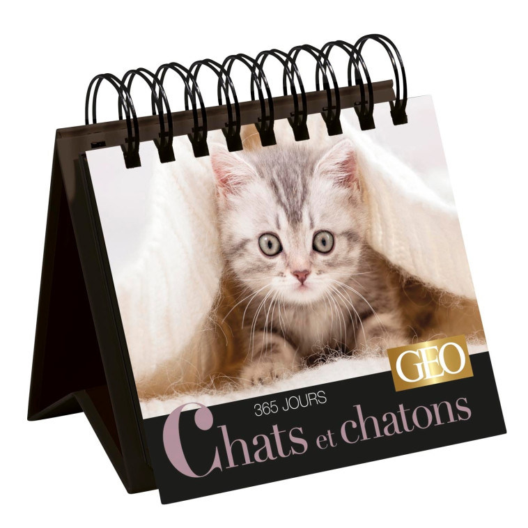 365 JOURS CHATS ET CHATONS  - CALENDRIER G O - XXX - PLAY BAC