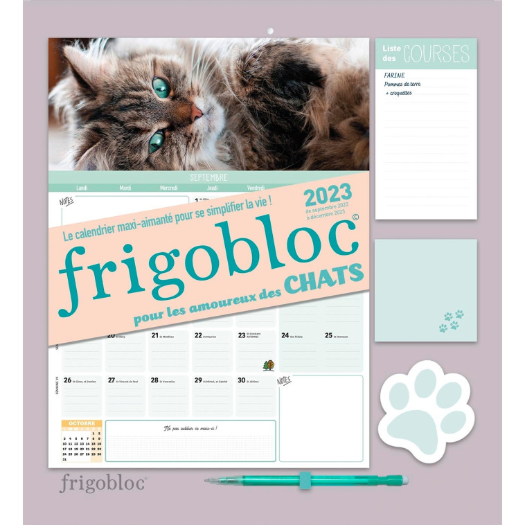 FRIGOBLOC MENSUEL 2023 CHATS (DE SEPT. 2022 A DEC. 2023) - CALENDRIER D'ORGANISATION FAMILIALE - XXX - PLAY BAC