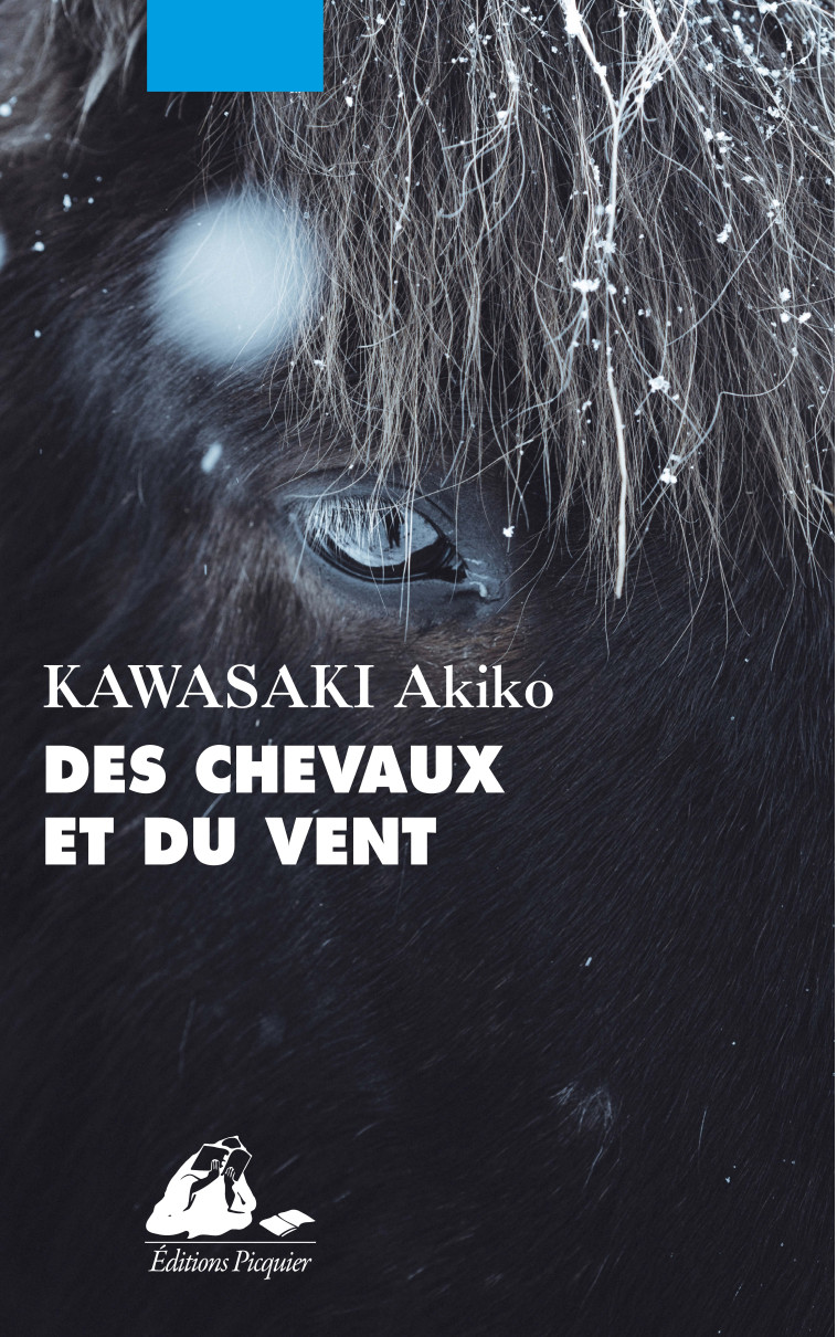 DES CHEVAUX ET DU VENT - KAWASAKI AKIKO - PICQUIER