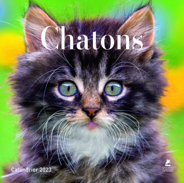 CHATONS - CALENDRIERS 2023 - COLLECTIF - PLACE VICTOIRES