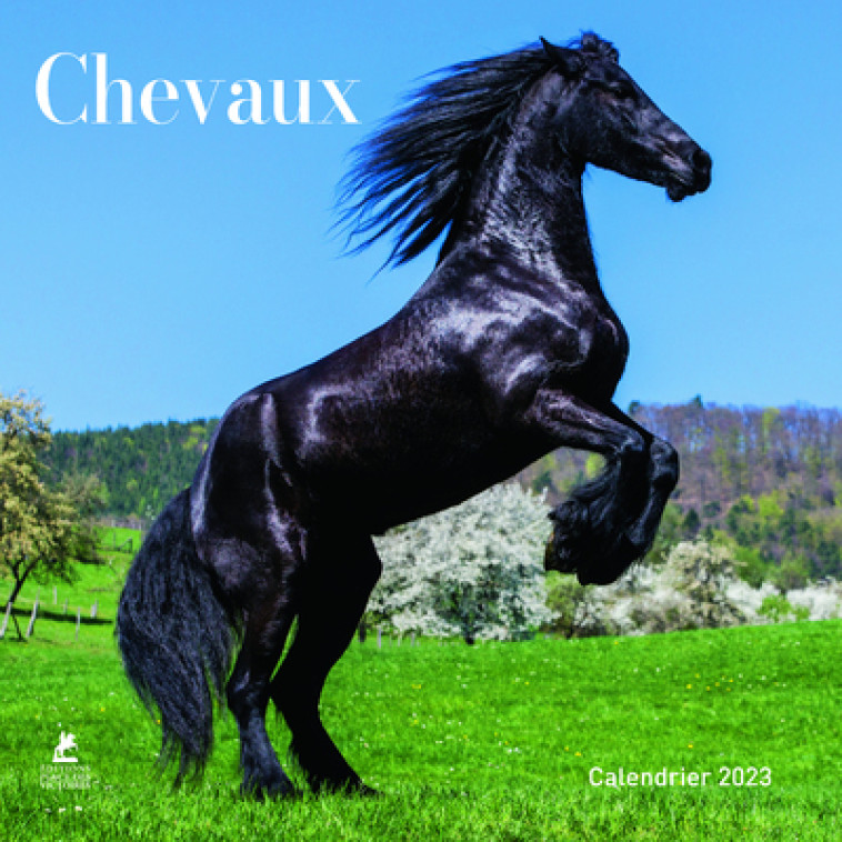 CHEVAUX - CALENDRIER 2023 - COLLECTIF - PLACE VICTOIRES