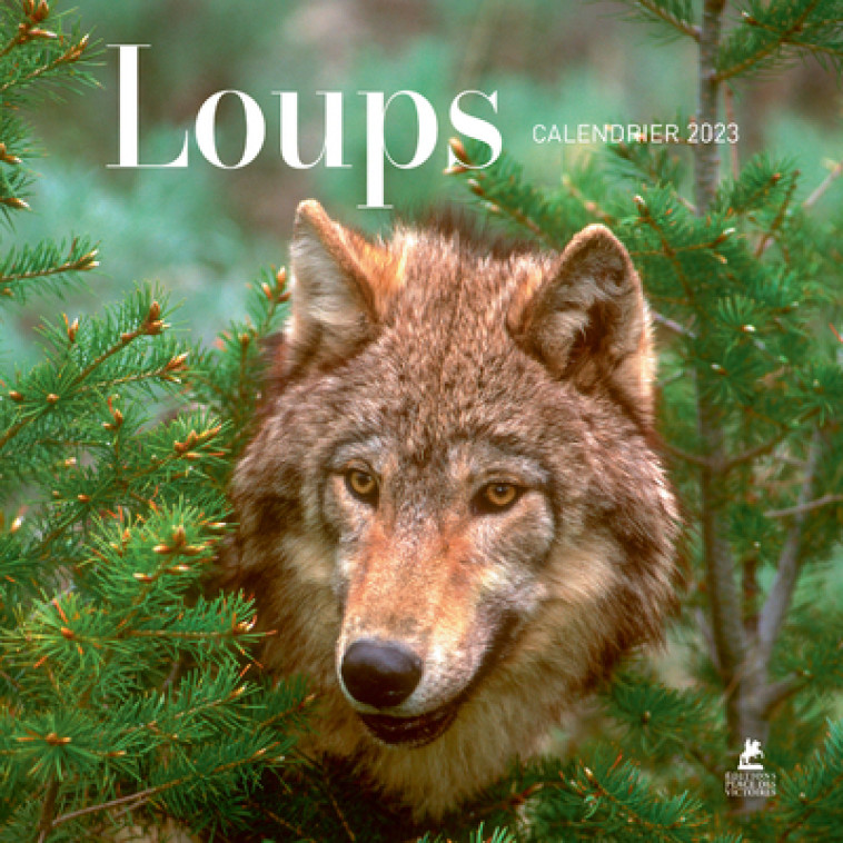 LOUPS - CALENDRIER 2023 - COLLECTIF - PLACE VICTOIRES