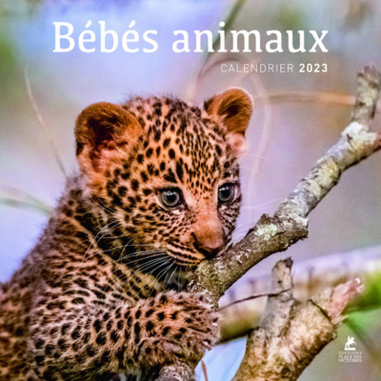 BEBES ANIMAUX - CALENDRIER 2023 - COLLECTIF - PLACE VICTOIRES