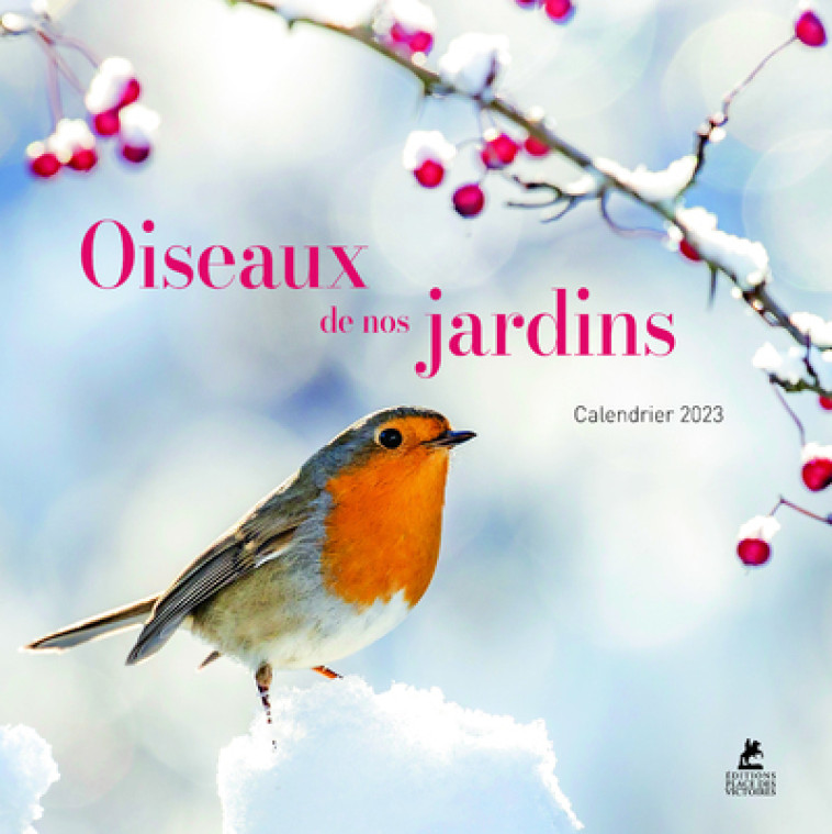 OISEAUX DE NOS JARDINS - CALENDRIER 2023 - COLLECTIF - PLACE VICTOIRES