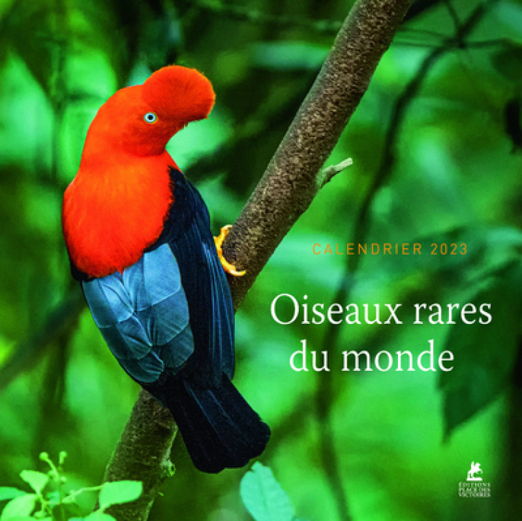 OISEAUX RARES DU MONDE - CALENDRIER 2023 - COLLECTIF - PLACE VICTOIRES