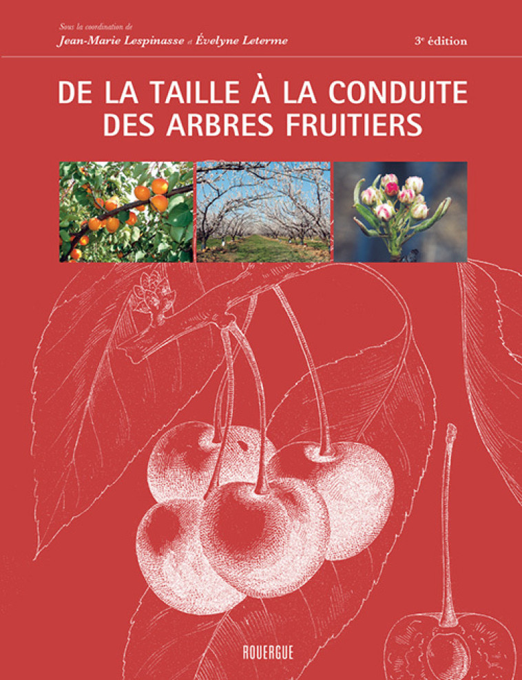 DE LA TAILLE A LA CONDUITE DES ARBRES FRUIT IERS (3E ED) - LETERME EVELYNE/LESP - ROUERGUE