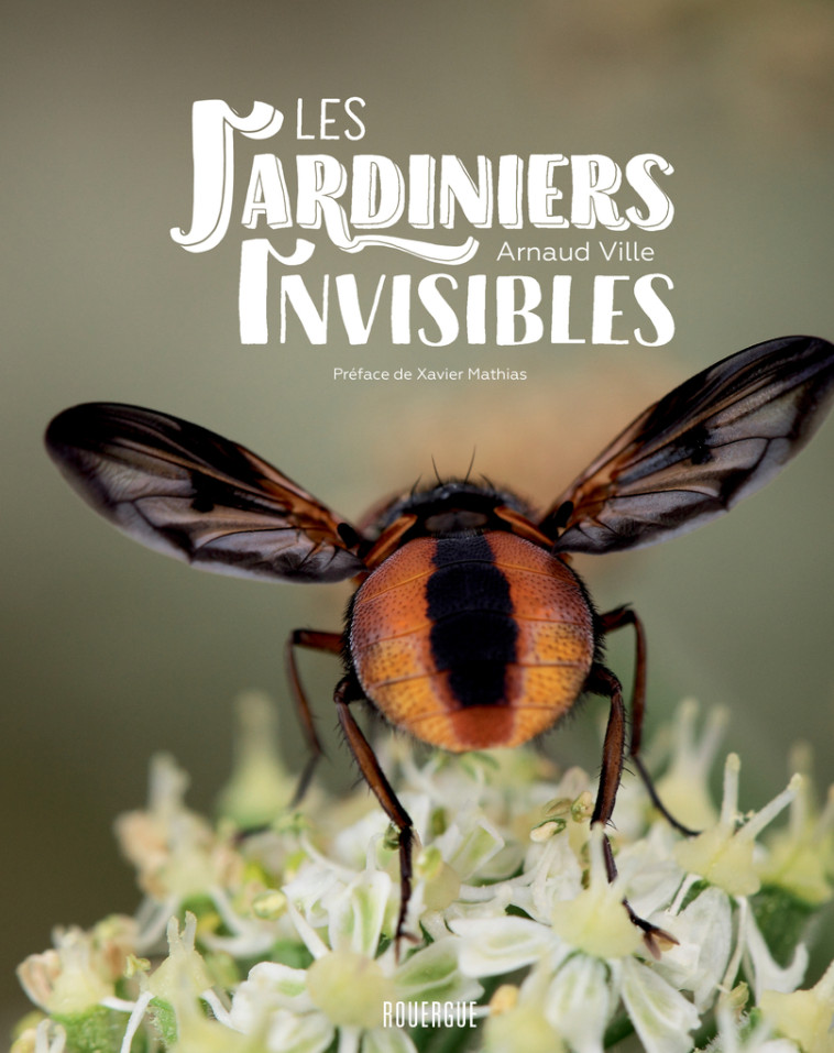 LES JARDINIERS INVISIBLES - VILLE/MATHIAS - ROUERGUE