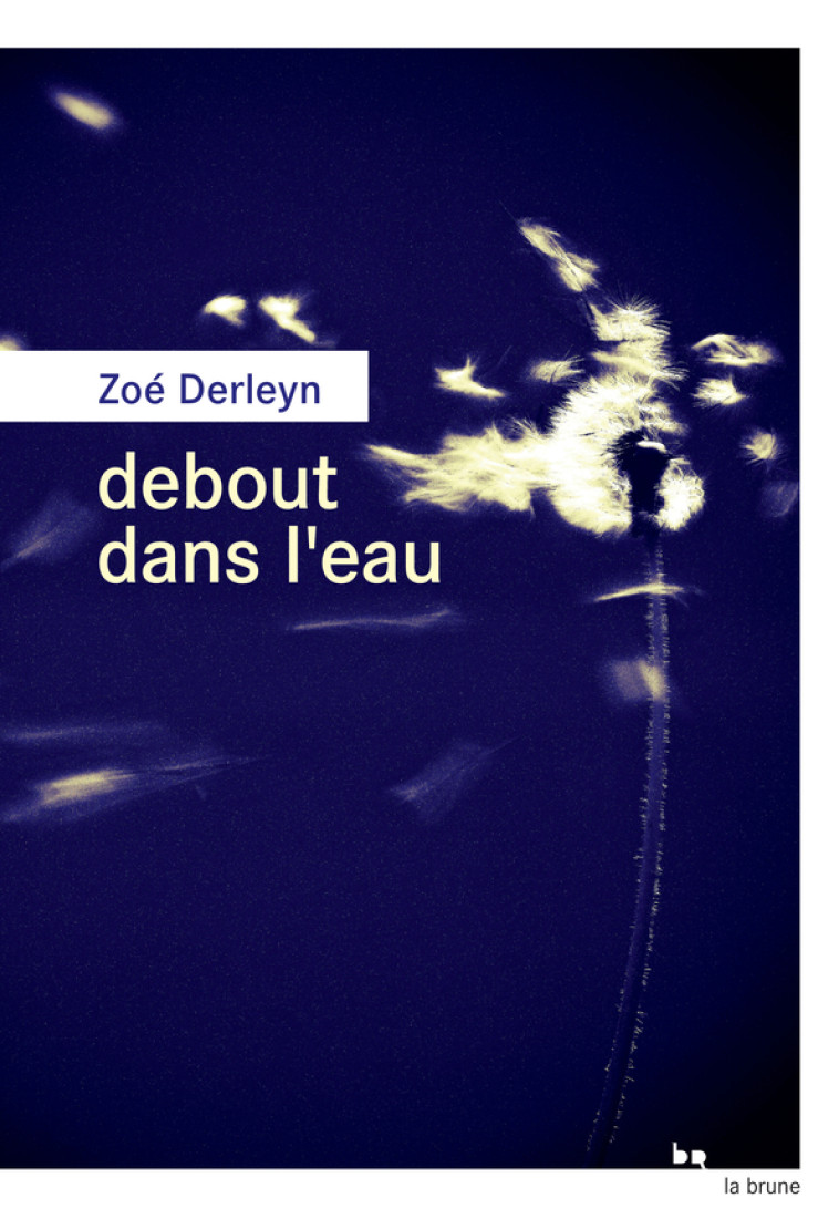 DEBOUT DANS L'EAU - DERLEYN ZOE - ROUERGUE