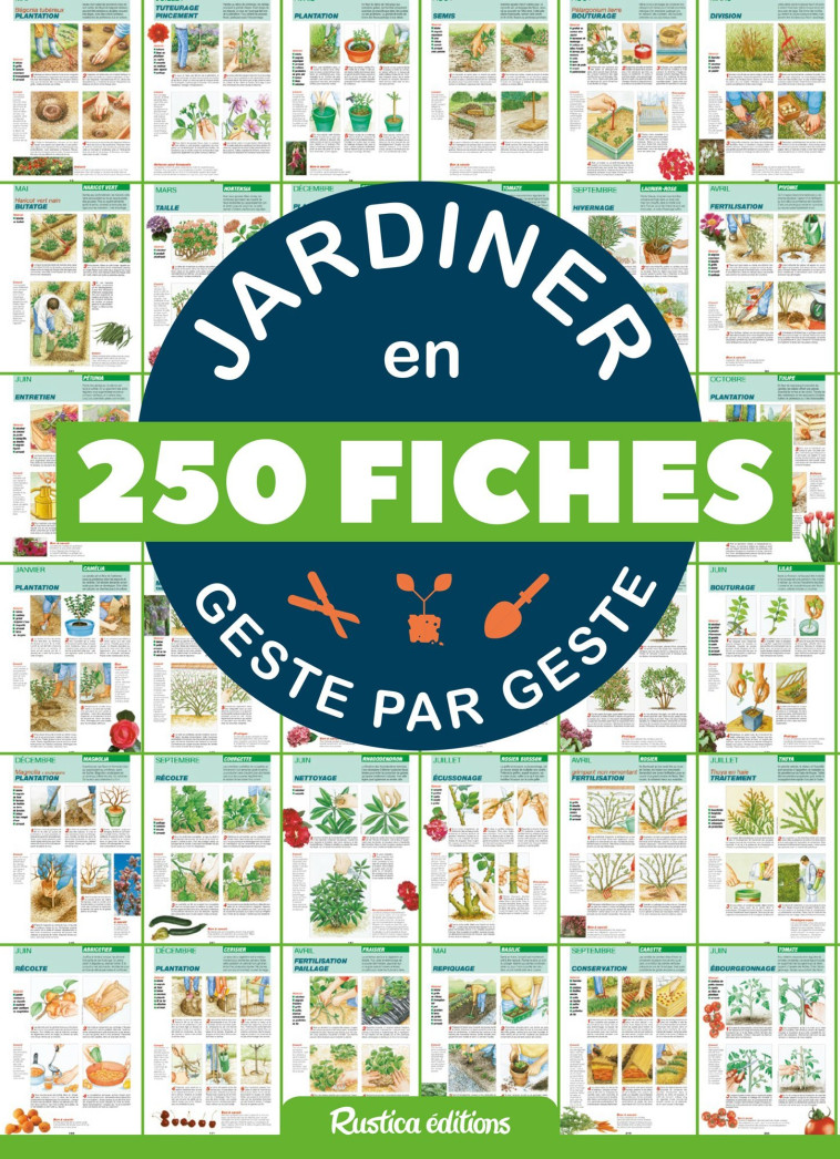 JARDINER EN 250 FICHES GESTE PAR GESTE - COLLECTIF - RUSTICA