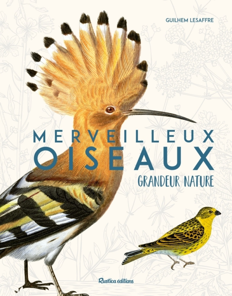 MERVEILLEUX OISEAUX GRANDEUR NATURE - LESAFFRE GUILHEM - RUSTICA