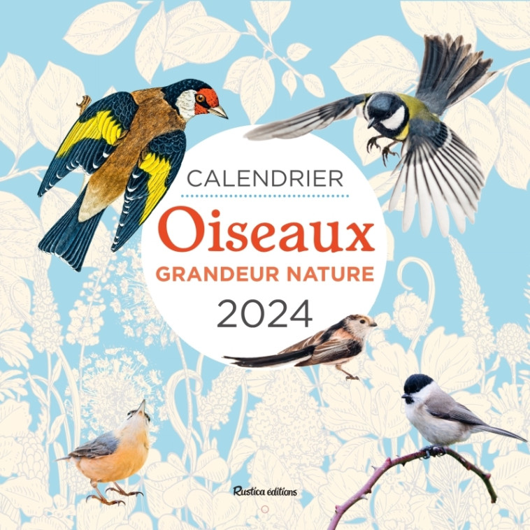 CALENDRIER MURAL OISEAUX GRANDEUR NATURE 2024 - LESAFFRE GUILHEM - RUSTICA