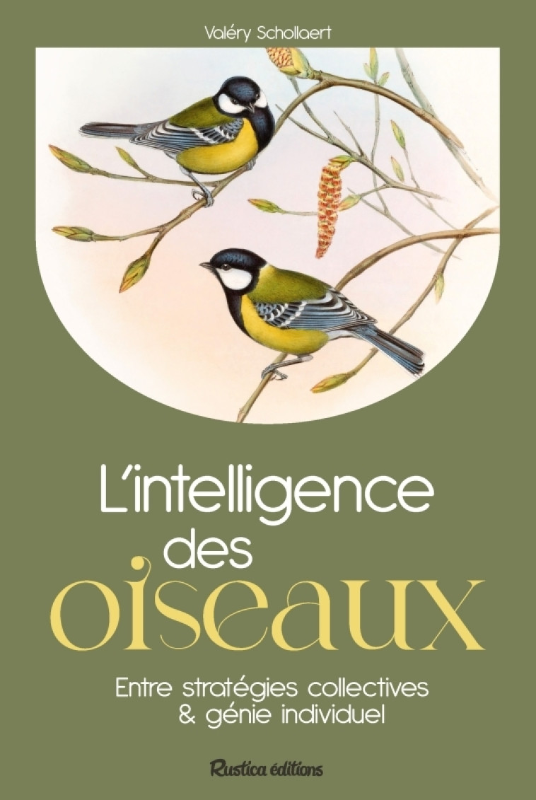 L'INTELLIGENCE DES OISEAUX - SCHOLLAERT VALERY - RUSTICA